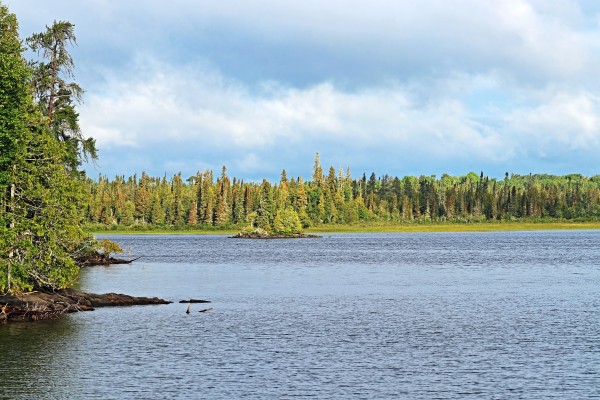 Bonar Lake by Deb Oppermann